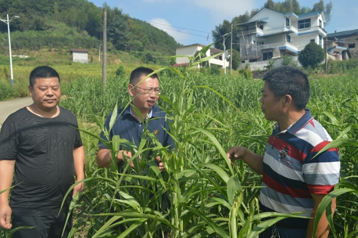 始終把脫貧攻堅的責(zé)任扛在肩上