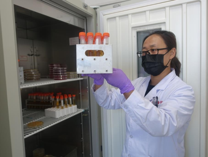 高瑞霞正在實(shí)驗(yàn)室觀察防護(hù)服滅菌用生物指示劑的檢驗(yàn)結(jié)果。記者 楊燕攝