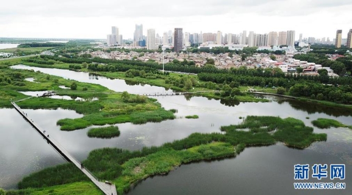 6月25日，市民在哈爾濱大劇院附近的城市濕地游玩（無(wú)人機(jī)照片）。新華社記者王建威攝