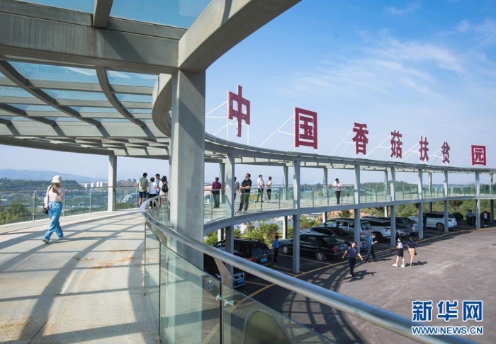 湖北省十堰市鄖陽區(qū)青龍泉社區(qū)香菇產(chǎn)業(yè)基地（8月28日攝）。新華社記者 肖藝九 攝
