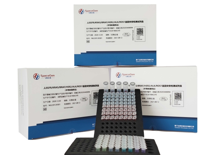 4廈門飛朔生物技術(shù)有限公司+人EGFR-KRAS-BRAF-HER2-ALK-ROS1基因突變檢測(cè)試劑盒（半導(dǎo)體測(cè)序法）