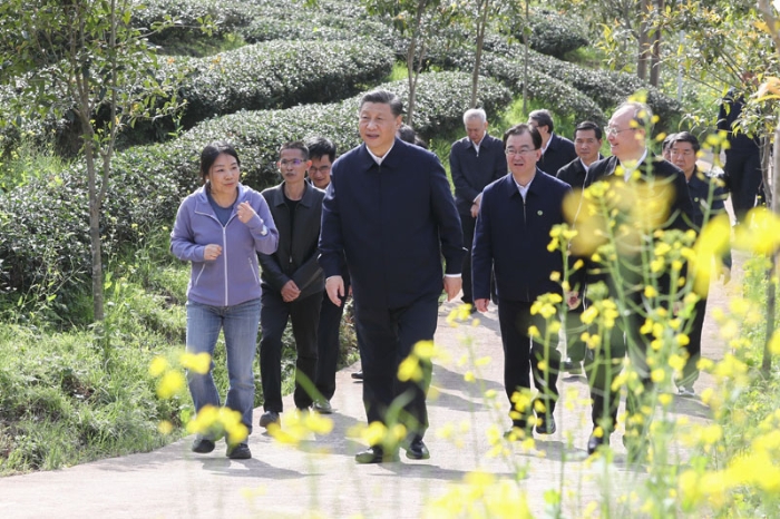3月22日至25日，中共中央總書記、國(guó)家主席、中央軍委主席習(xí)近平在福建考察。這是22日下午，習(xí)近平在南平武夷山市星村鎮(zhèn)燕子窠生態(tài)茶園，察看春茶長(zhǎng)勢(shì)，了解當(dāng)?shù)夭璁a(chǎn)業(yè)發(fā)展情況。新華社記者 鞠鵬 攝