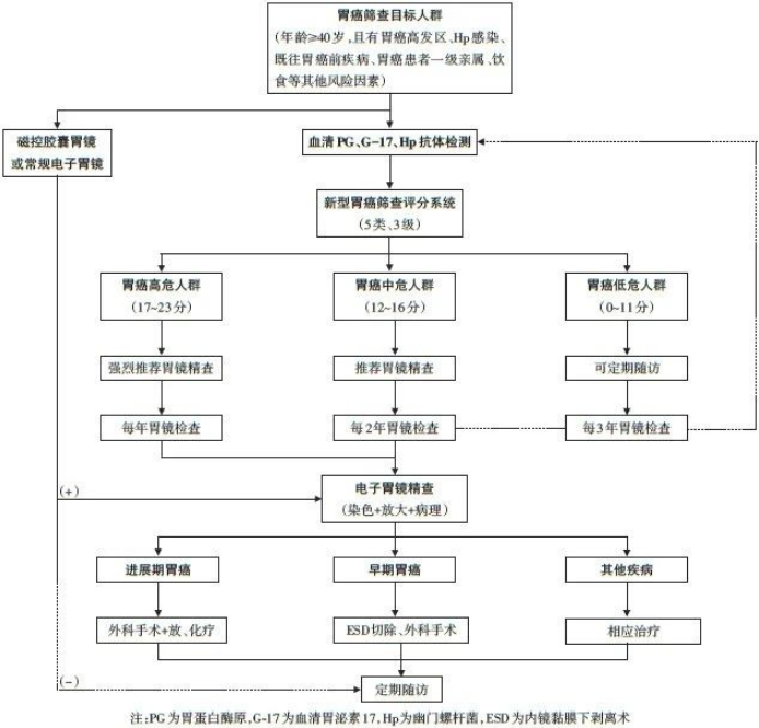 圖為早期胃癌篩查的推薦參考流程。