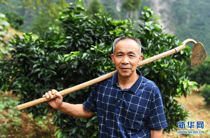 這是2020年7月3日在重慶市巫山縣竹賢鄉(xiāng)下莊村拍攝的毛相林。新華社記者 王全超 攝
