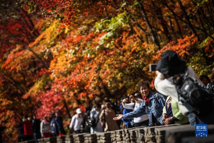 游客在遼寧省本溪市大石湖風(fēng)景區(qū)拍照留念（2020年10月7日攝）。本溪市是國(guó)家森林城市，有“楓葉之都”的美譽(yù)。新華社記者 潘昱龍 攝