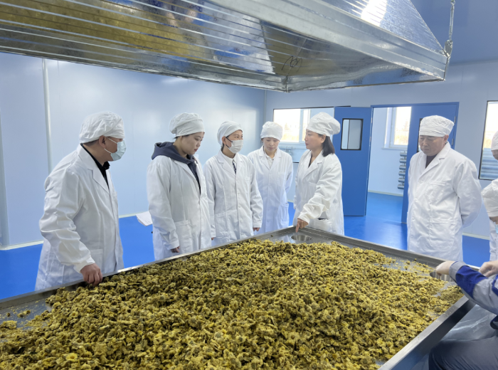 省藥品審核查驗(yàn)中心深入企業(yè)開展精準(zhǔn)幫扶