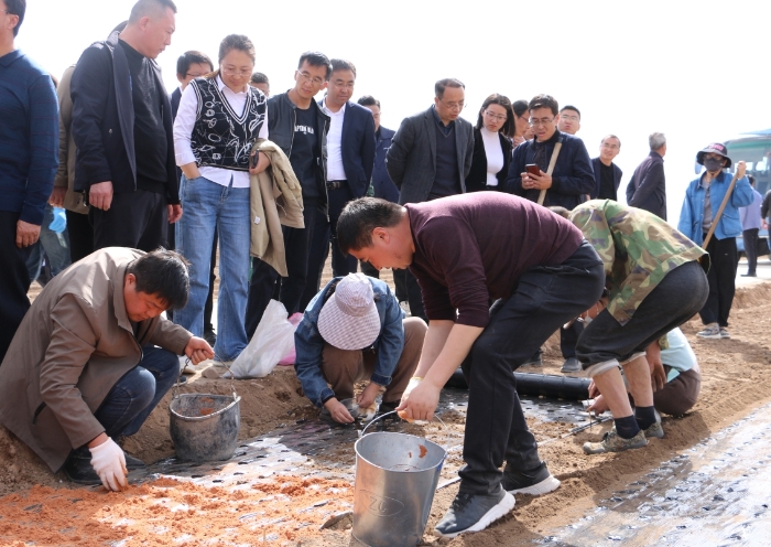 圖為參訓(xùn)人員在首陽鎮(zhèn)中藥材種植基地現(xiàn)場觀摩中藥材標準化栽培流程