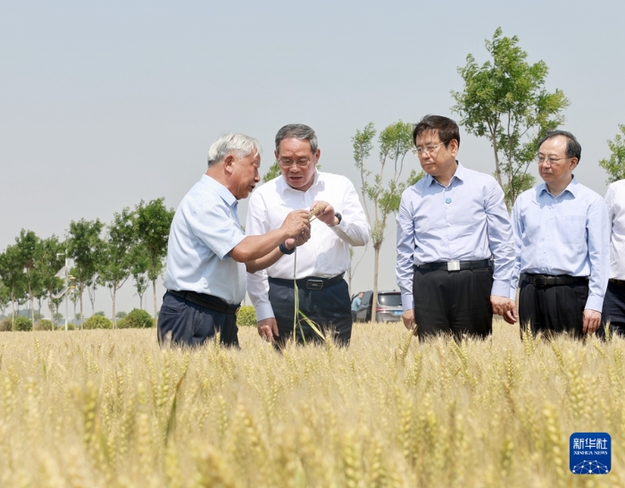 5月22日至23日，中共中央政治局常委、國務院總理李強在河南調研。這是5月23日，李強在新鄉(xiāng)市平原示范區(qū)高標準農(nóng)田調研。新華社記者 王曄 攝